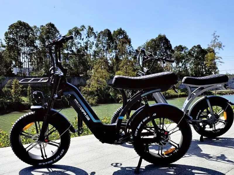 Ride Revolt® Q8 Dual-Suspension E-Bike (1000W)
