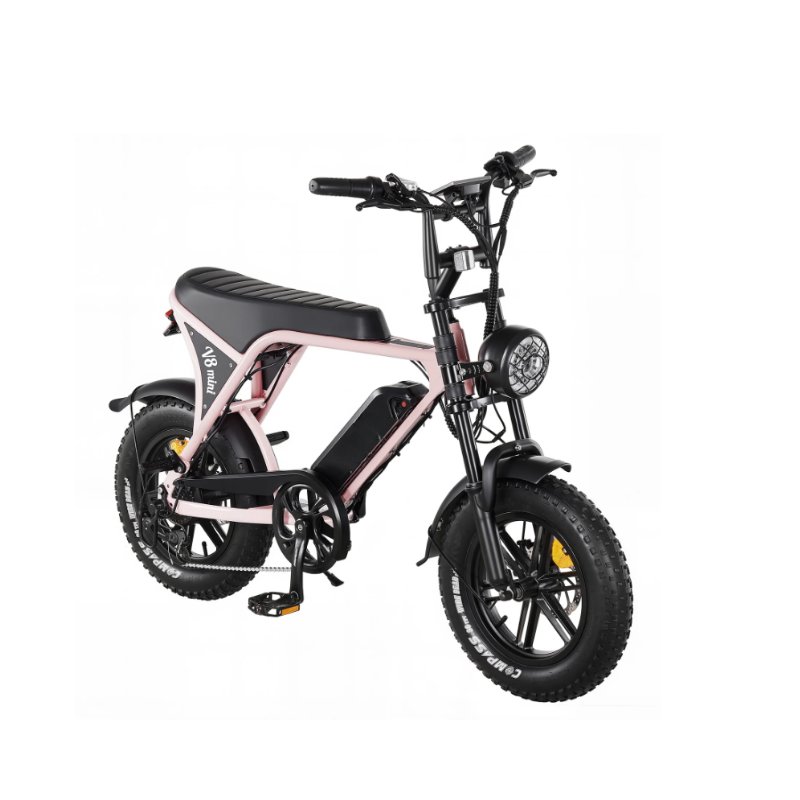 small wheel electric bicycle Bike - The Sleek The EILLEO 16 Lelekuai T5 Folding Electric Bike