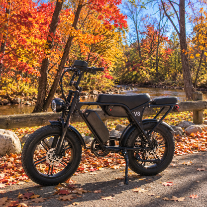 V8 Fat Tire Electric Bike