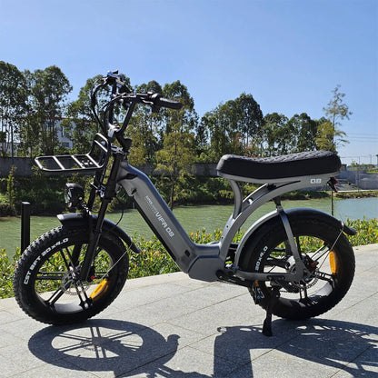 Ride Revolt® Q8 Dual-Suspension E-Bike (1000W)
